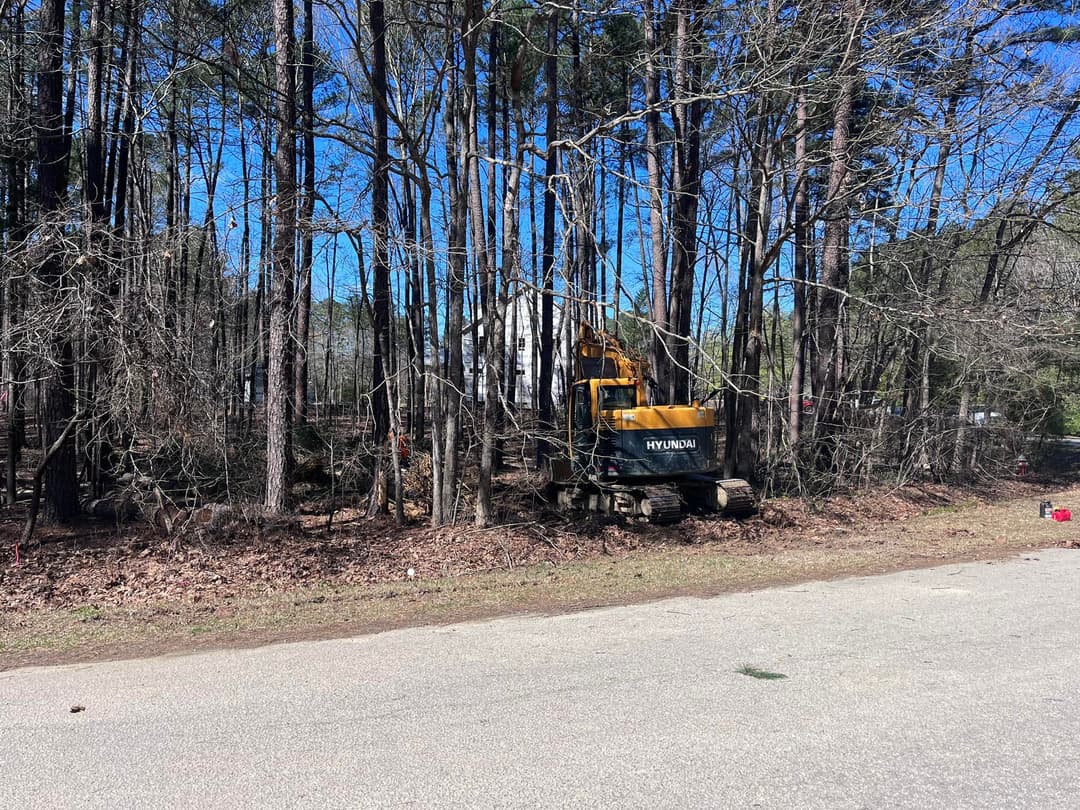 Excavator clearing trees in a wooded area near a residential street on a sunny day.