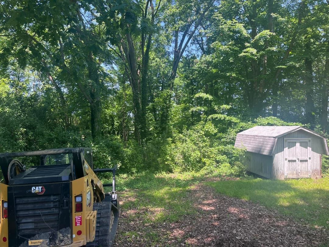 Yellow skid steer loader beside a wooden shed in a lush green forested area.
